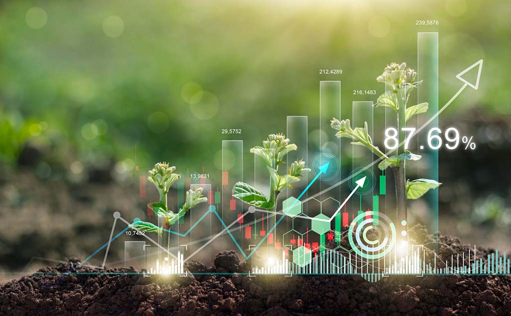 Copertina del primo numero di Teiko